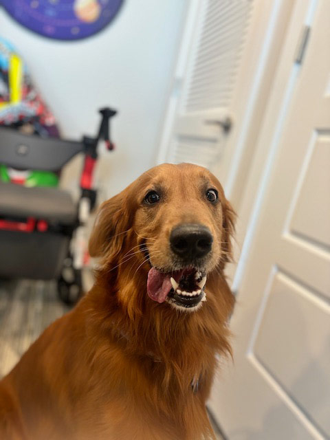 Mirabelle visit by Thor - Jun 6, 2024 | Alexandra Ramos Therapy Animals