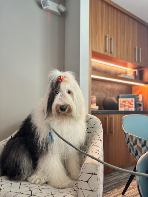 Mirabelle visit by Thor - Jun 6, 2024 | Alexandra Ramos Therapy Animals