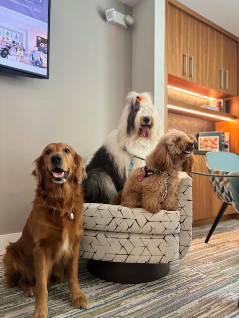 Mirabelle visit by Thor - Jun 6, 2024 | Alexandra Ramos Therapy Animals