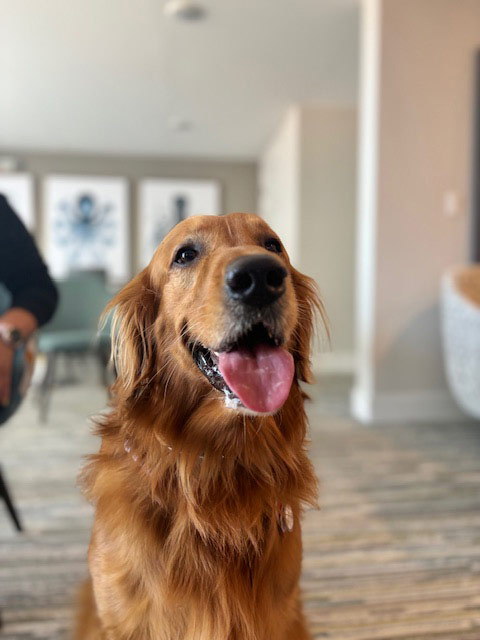 Mirabelle visit by Thor - Jun 6, 2024 | Alexandra Ramos Therapy Animals