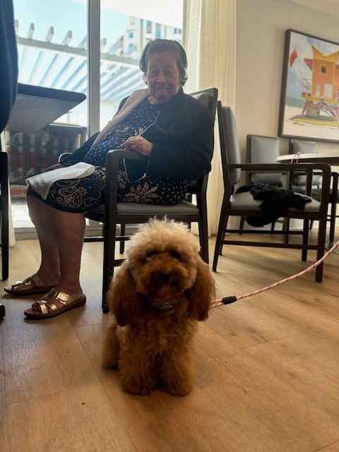 Mirabelle visit by Thor - Jun 6, 2024 | Alexandra Ramos Therapy Animals