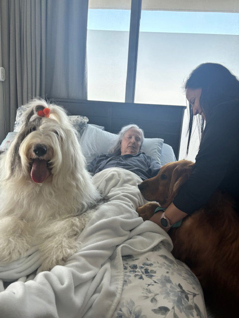 Mirabelle visit by Thor - Jun 6, 2024 | Alexandra Ramos Therapy Animals