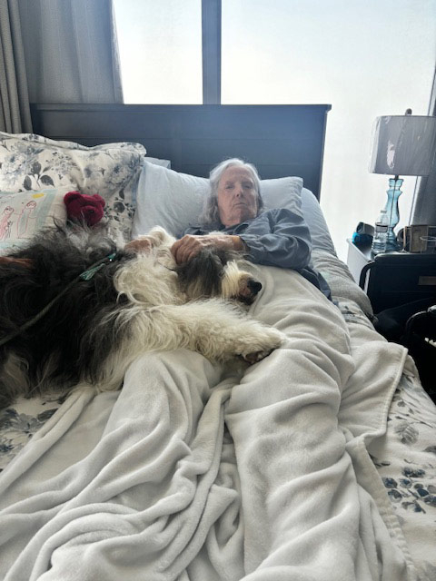 Mirabelle visit by Thor - Jun 6, 2024 | Alexandra Ramos Therapy Animals
