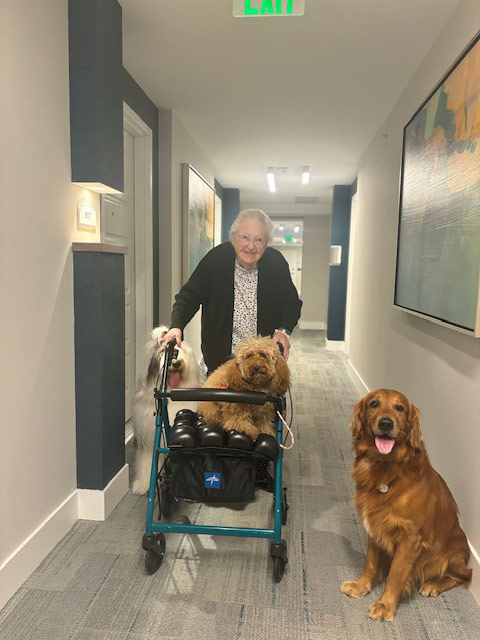 Mirabelle visit by Thor - Jun 6, 2024 | Alexandra Ramos Therapy Animals