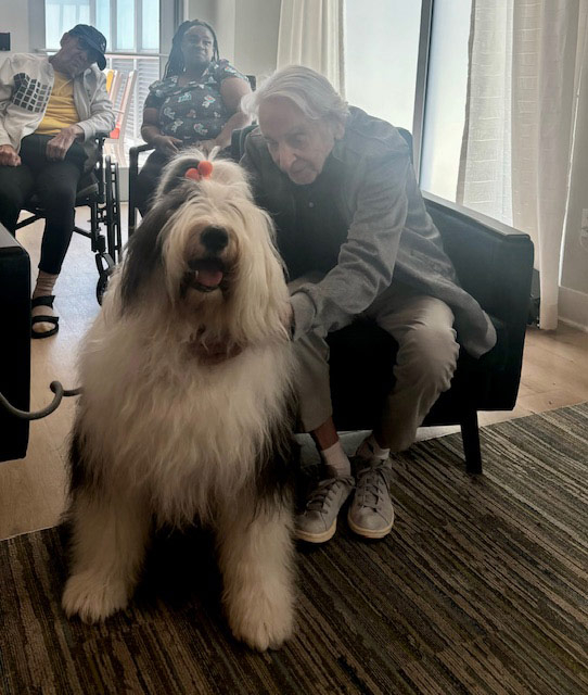 Mirabelle visit by Thor - Jun 6, 2024 | Alexandra Ramos Therapy Animals