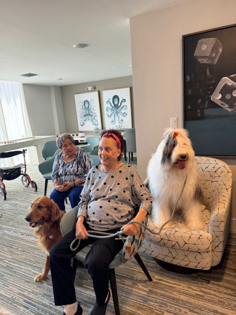 Mirabelle visit by Thor - Jun 6, 2024 | Alexandra Ramos Therapy Animals