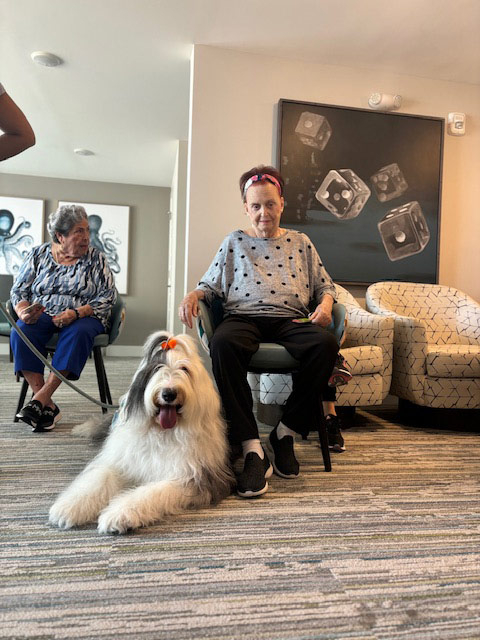 Mirabelle visit by Thor - Jun 6, 2024 | Alexandra Ramos Therapy Animals
