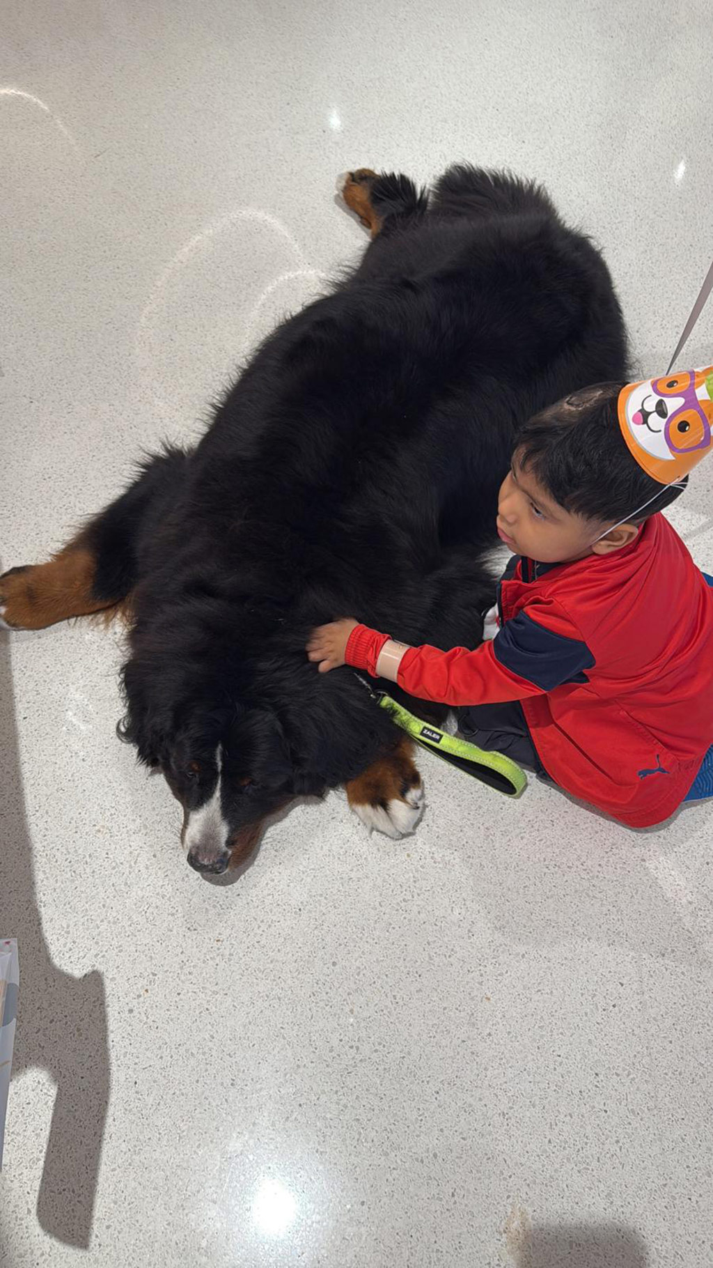  May 7, 2025 | Alexandra Ramos Therapy Animals