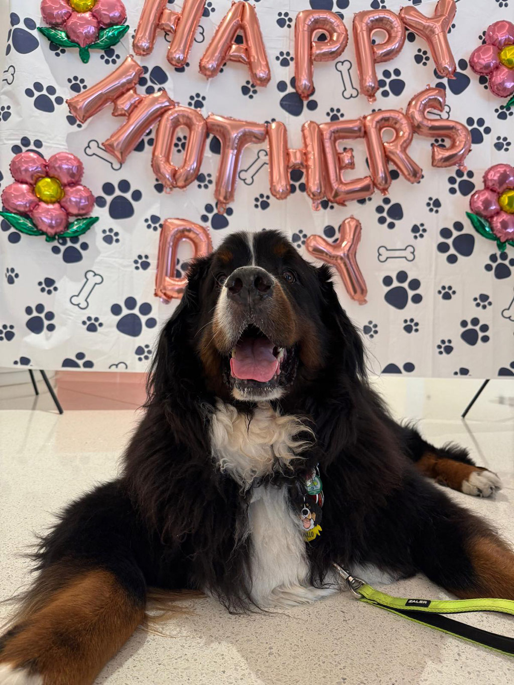  May 7, 2025 | Alexandra Ramos Therapy Animals