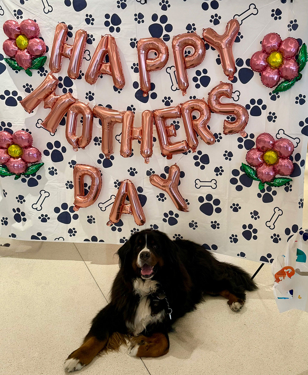  May 7, 2025 | Alexandra Ramos Therapy Animals