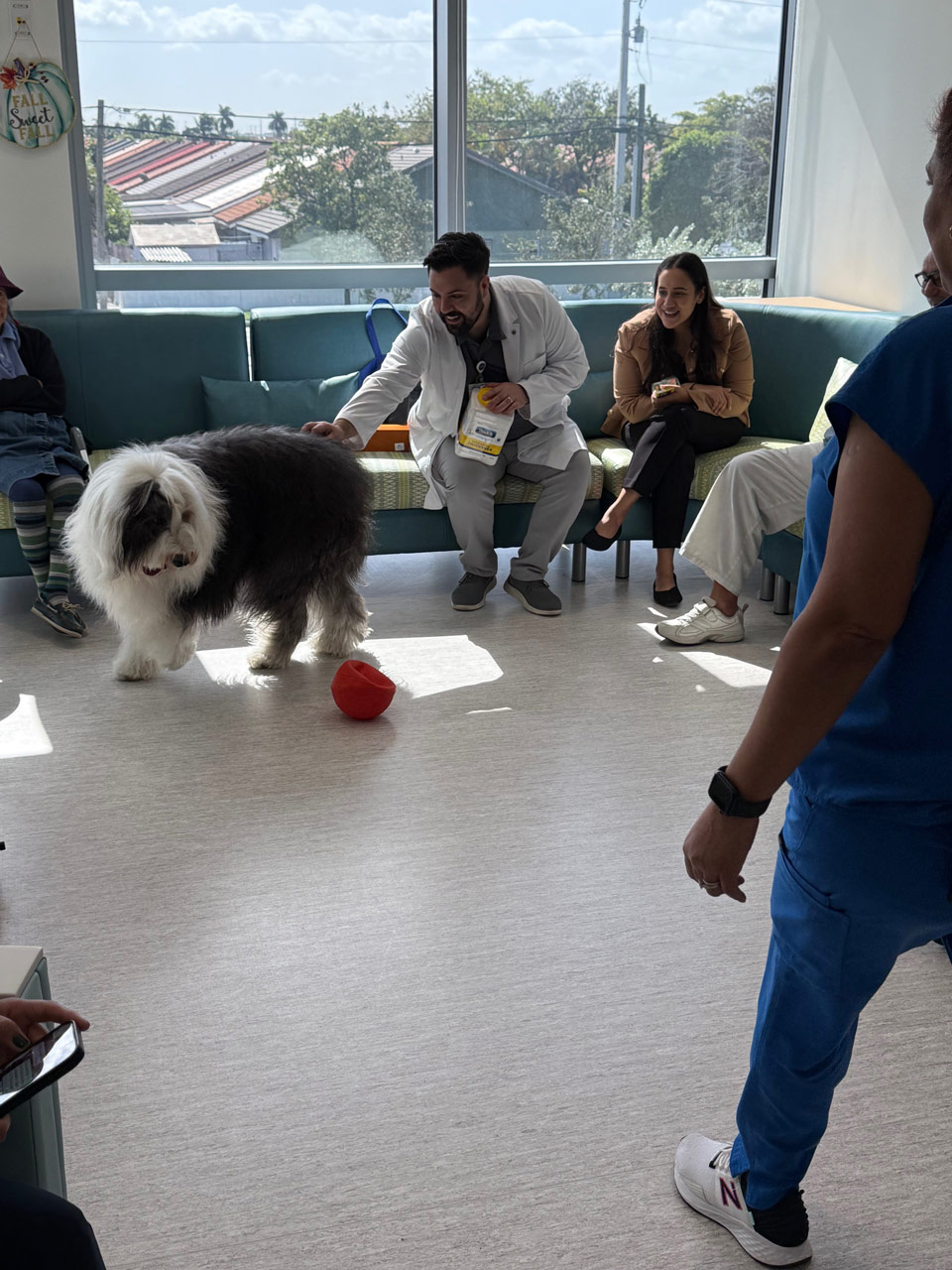 Mount Sinai Elder Care visit by Thor - Nov 14, 2024 | Alexandra Ramos Therapy Animals