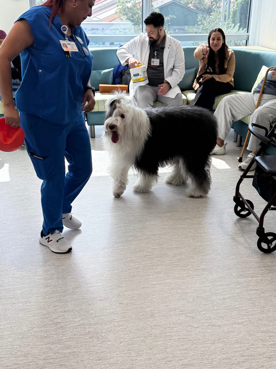 Mount Sinai Elder Care visit by Thor - Nov 14, 2024 | Alexandra Ramos Therapy Animals