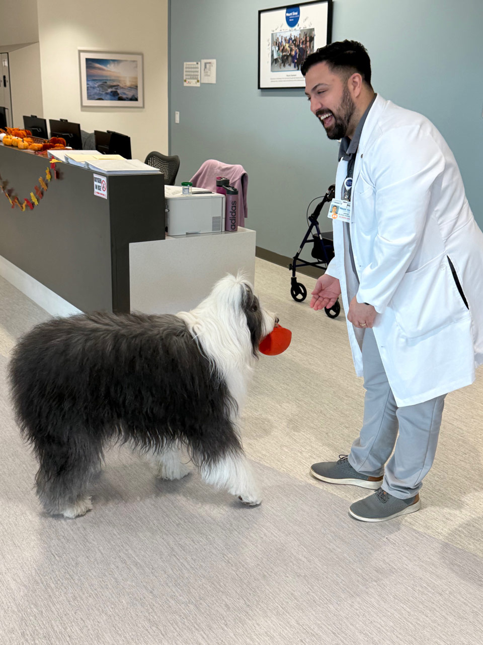 Mount Sinai Elder Care visit by Thor - Nov 14, 2024 | Alexandra Ramos Therapy Animals