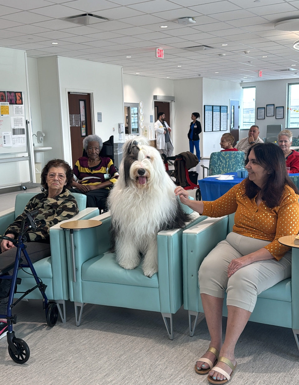 Mount Sinai Elder Care visit by Thor - Nov 14, 2024 | Alexandra Ramos Therapy Animals