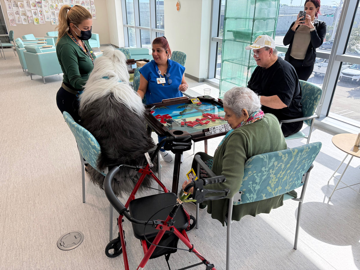 Mount Sinai Elder Care visit by Thor - Nov 14, 2024 | Alexandra Ramos Therapy Animals