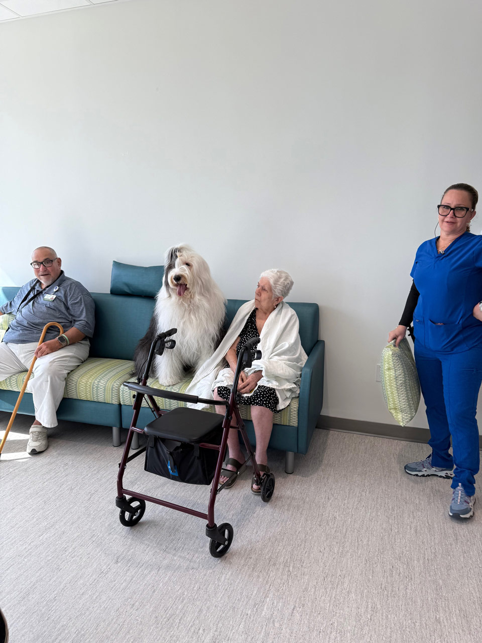 Mount Sinai Elder Care visit by Thor - Nov 14, 2024 | Alexandra Ramos Therapy Animals