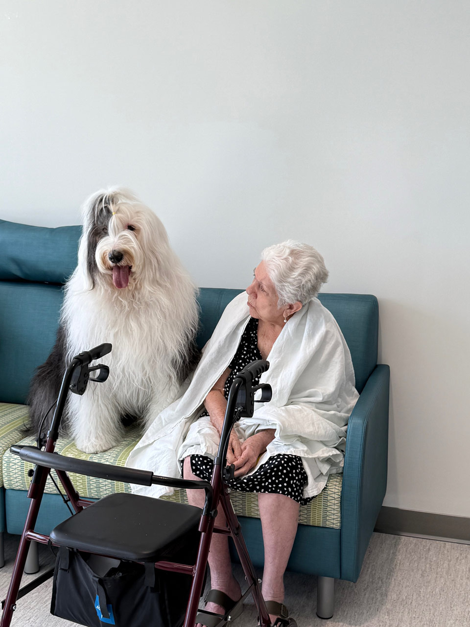 Mount Sinai Elder Care visit by Thor - Nov 14, 2024 | Alexandra Ramos Therapy Animals