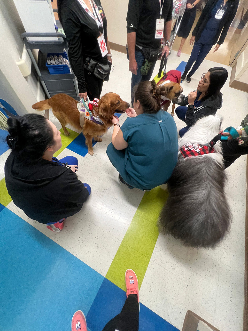  March 27, 2025 | Alexandra Ramos Therapy Animals