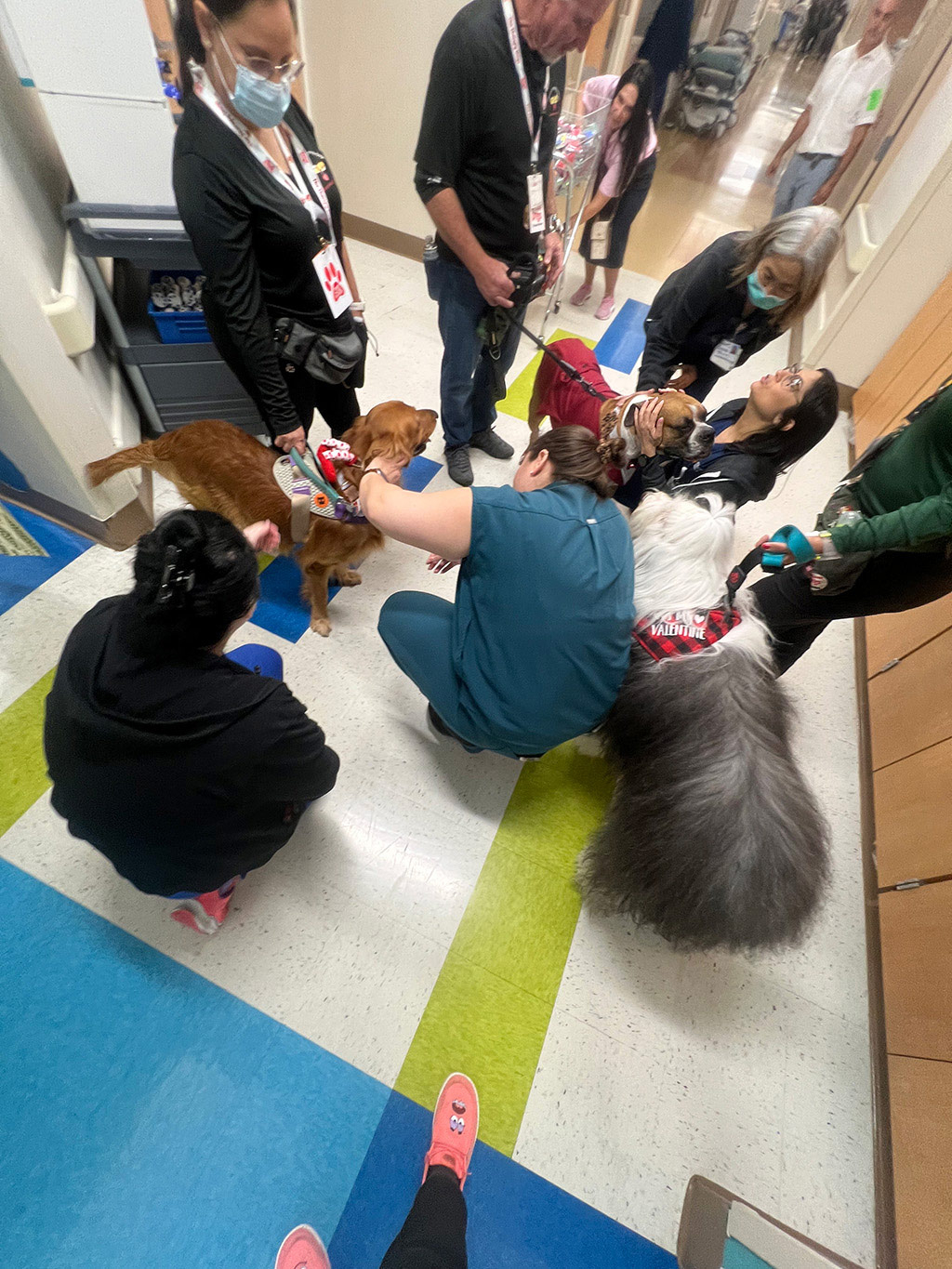  March 27, 2025 | Alexandra Ramos Therapy Animals