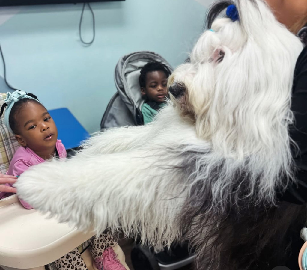  March 27, 2025 | Alexandra Ramos Therapy Animals