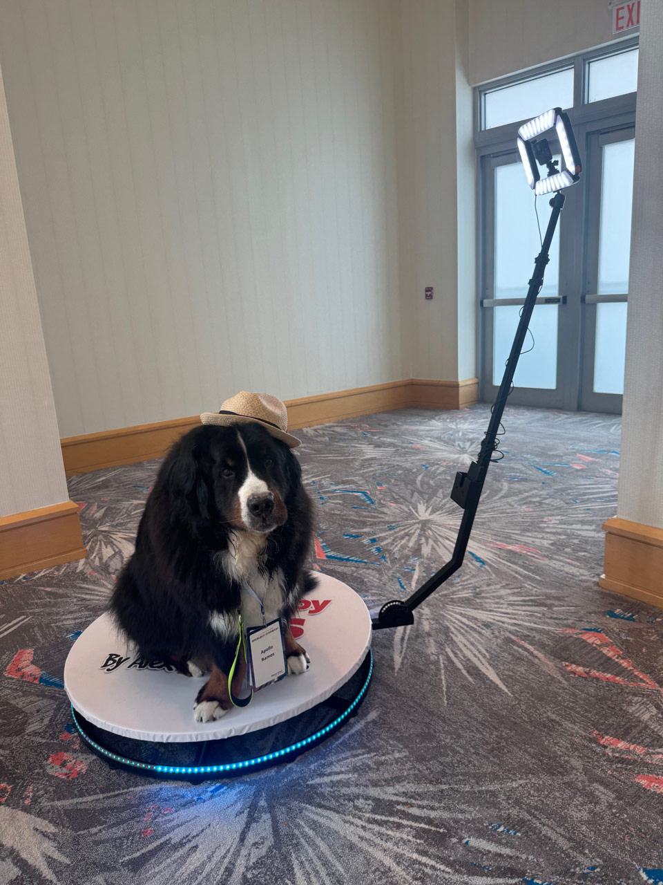 Oncology Symposium by Mount Sinai - Oct 19, 2024 | Alexandra Ramos Therapy Animals