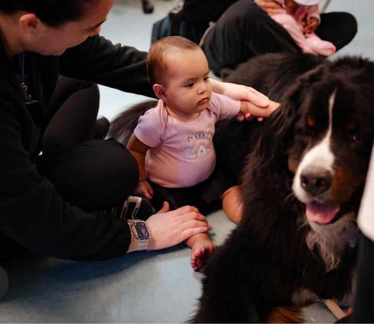 Patches PPEC visit by Apollo + Batman - April 24, 2024 | Alexandra Ramos Therapy Animals