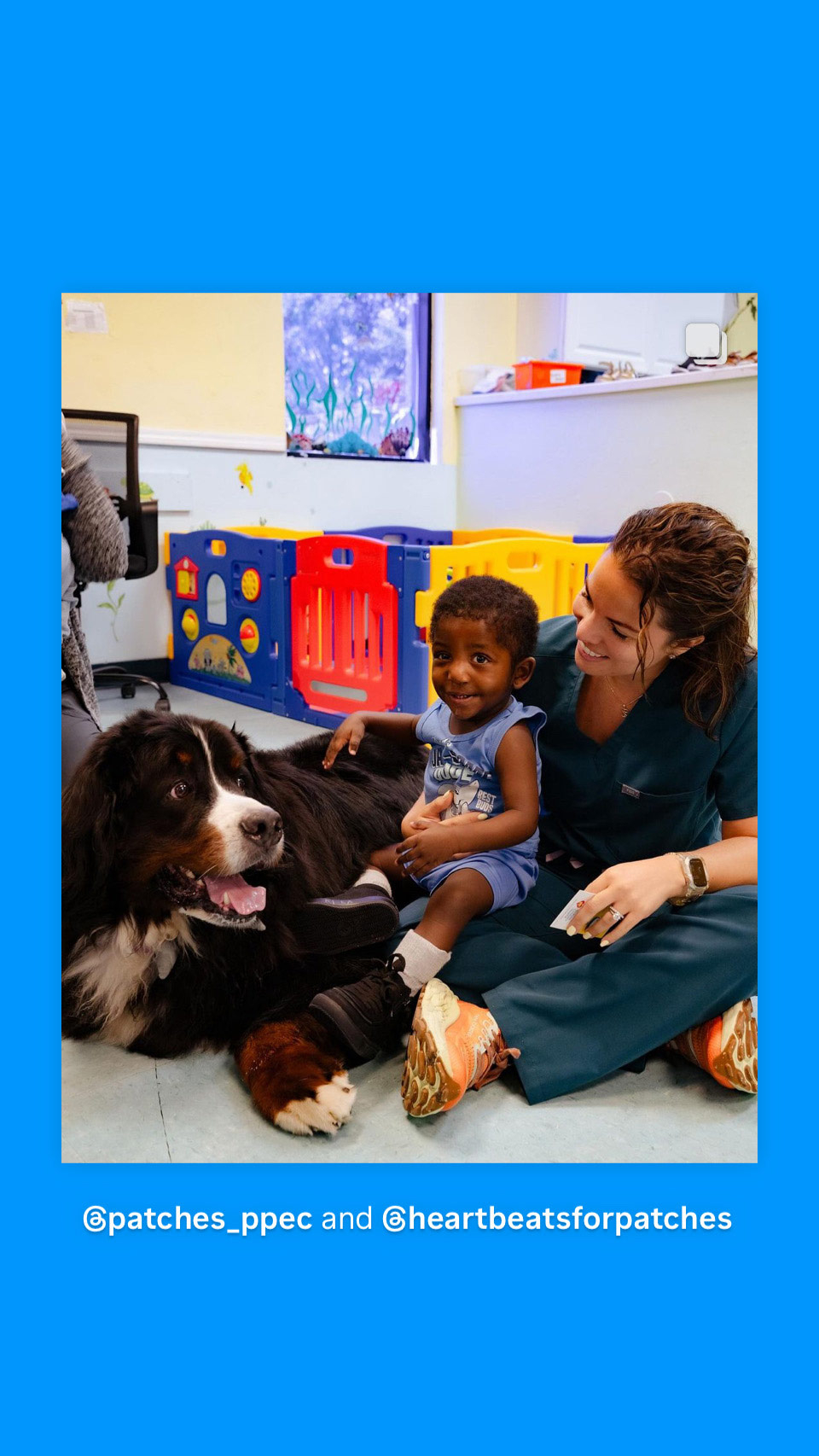 Patches PPEC visit by Apollo + Batman - April 24, 2024 | Alexandra Ramos Therapy Animals