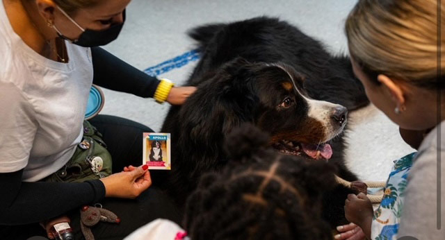 Patches PPEC visit by Apollo + Batman - April 24, 2024 | Alexandra Ramos Therapy Animals