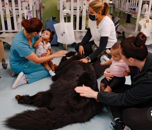 Patches PPEC visit by Apollo + Batman - April 24, 2024 | Alexandra Ramos Therapy Animals