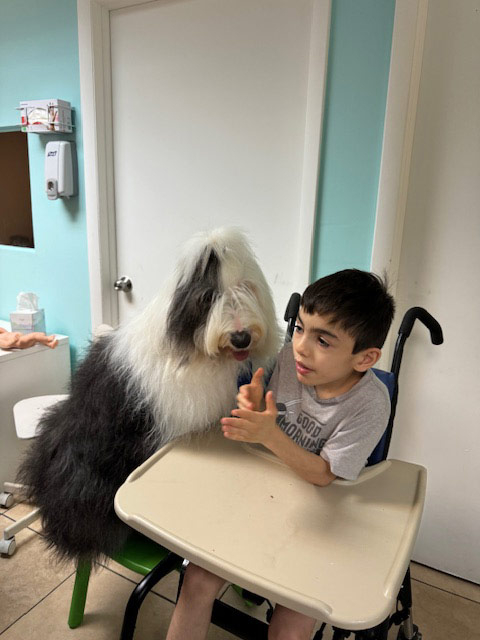 Pedikidz visit by Thor - August 8, 2024 | Alexandra Ramos Therapy Animals