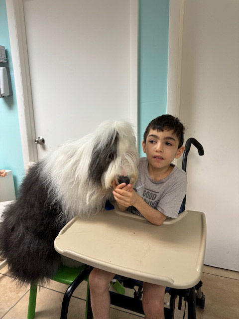 Pedikidz visit by Thor - August 8, 2024 | Alexandra Ramos Therapy Animals