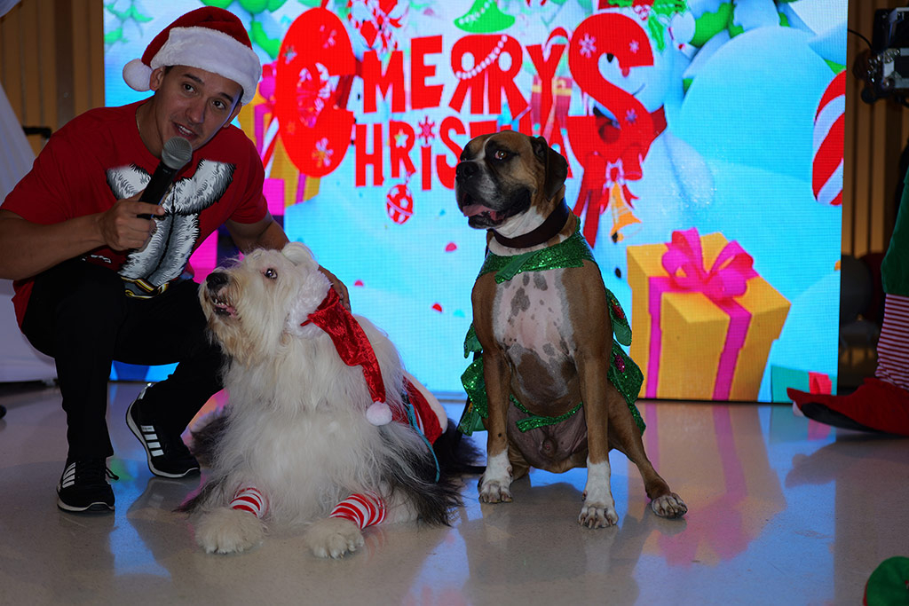 Santa Paws - Nicklaus Children's Hospital - Dec 18, 2024 | Alexandra Ramos Therapy Animals
