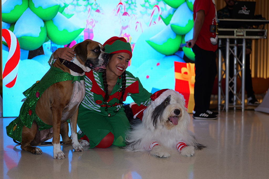 Santa Paws - Nicklaus Children's Hospital - Dec 18, 2024 | Alexandra Ramos Therapy Animals