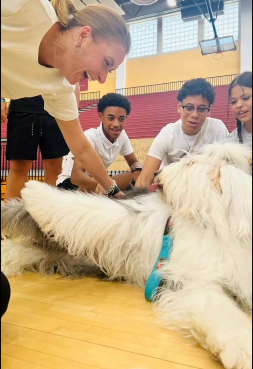 School visit by Thor with Meraki - Sep 16, 2024 | Alexandra Ramos Therapy Animals
