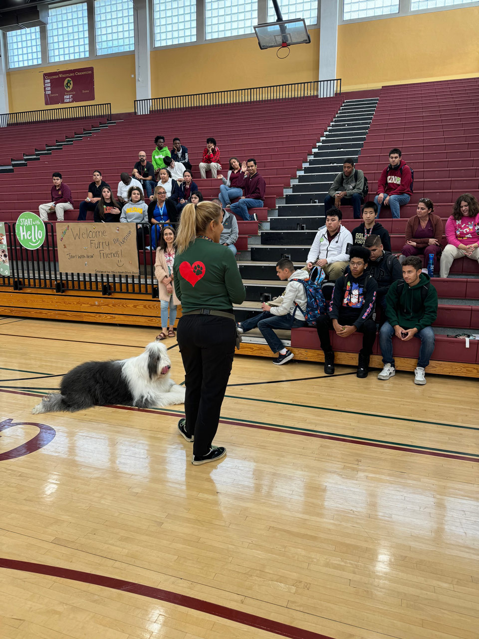 School visit by Thor with Meraki - Sep 16, 2024 | Alexandra Ramos Therapy Animals