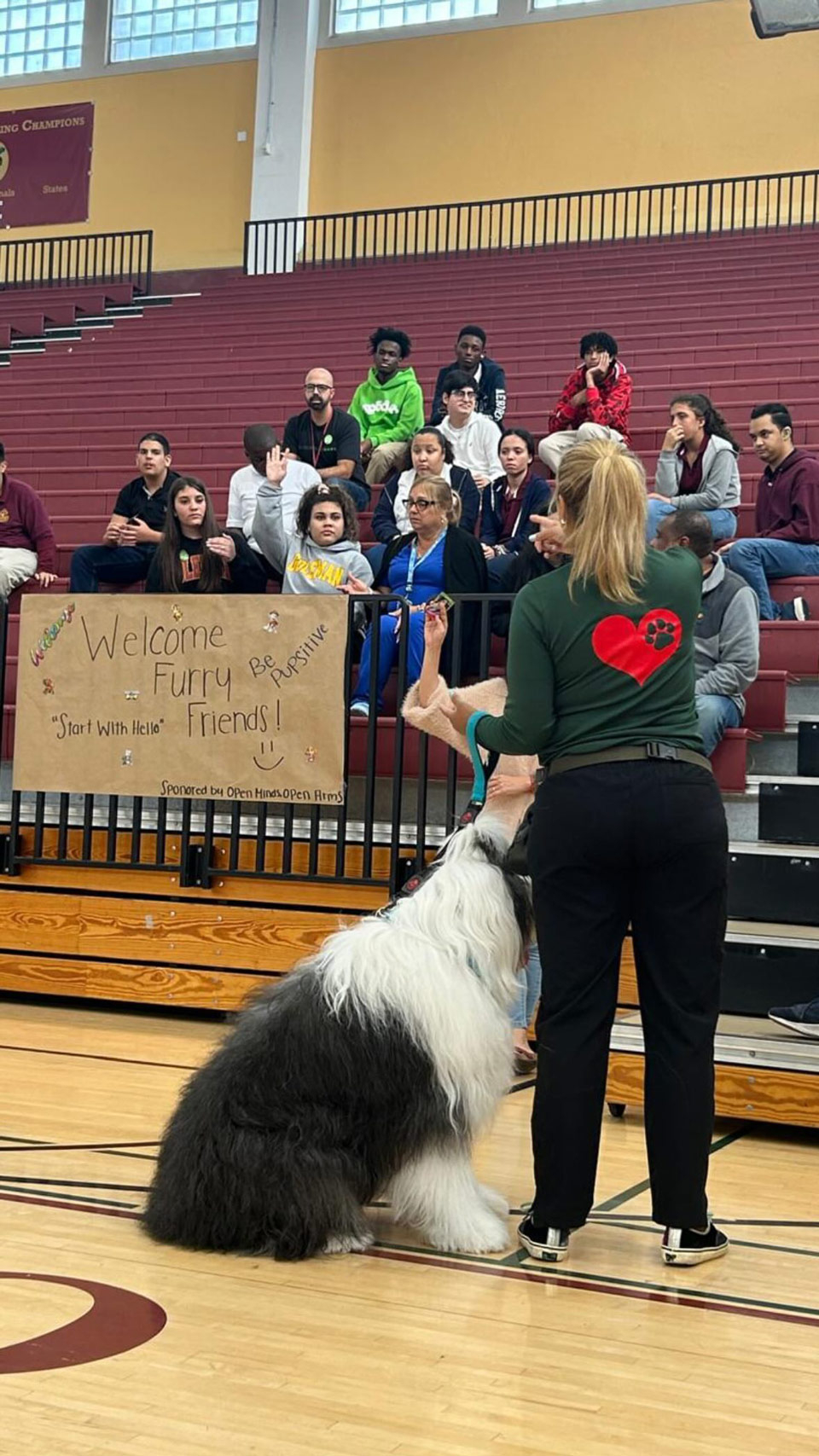 School visit by Thor with Meraki - Sep 16, 2024 | Alexandra Ramos Therapy Animals
