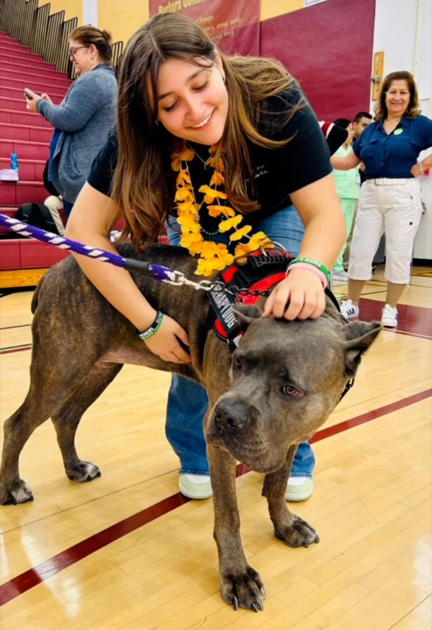School visit by Thor with Meraki - Sep 16, 2024 | Alexandra Ramos Therapy Animals