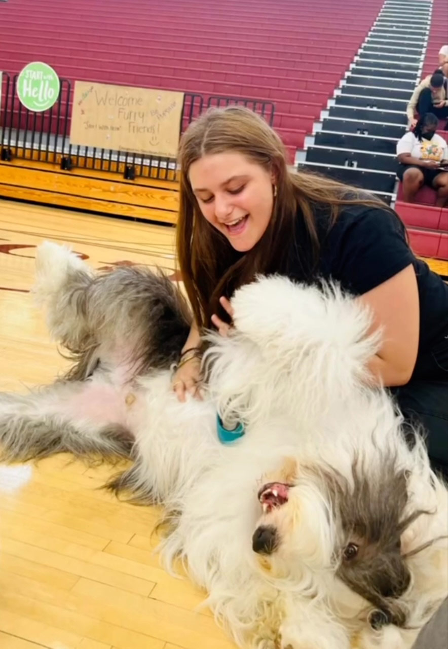 School visit by Thor with Meraki - Sep 16, 2024 | Alexandra Ramos Therapy Animals
