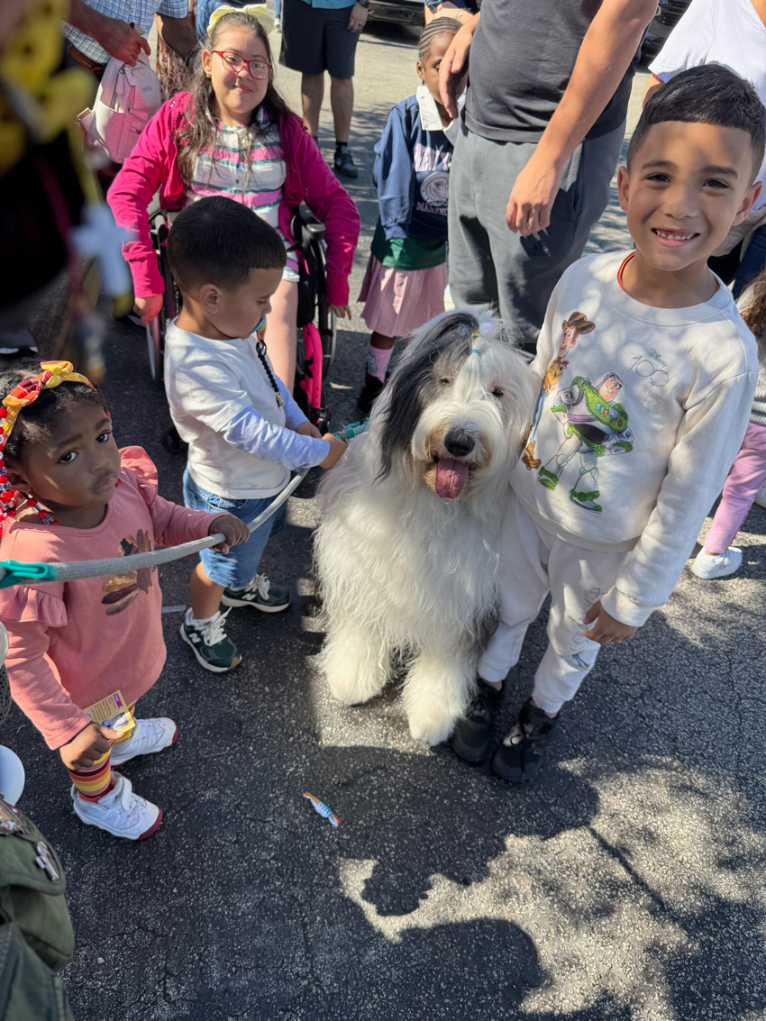Thanksgiving at Pedikidz with Thor - Nov 23, 2024 | Alexandra Ramos Therapy Animals
