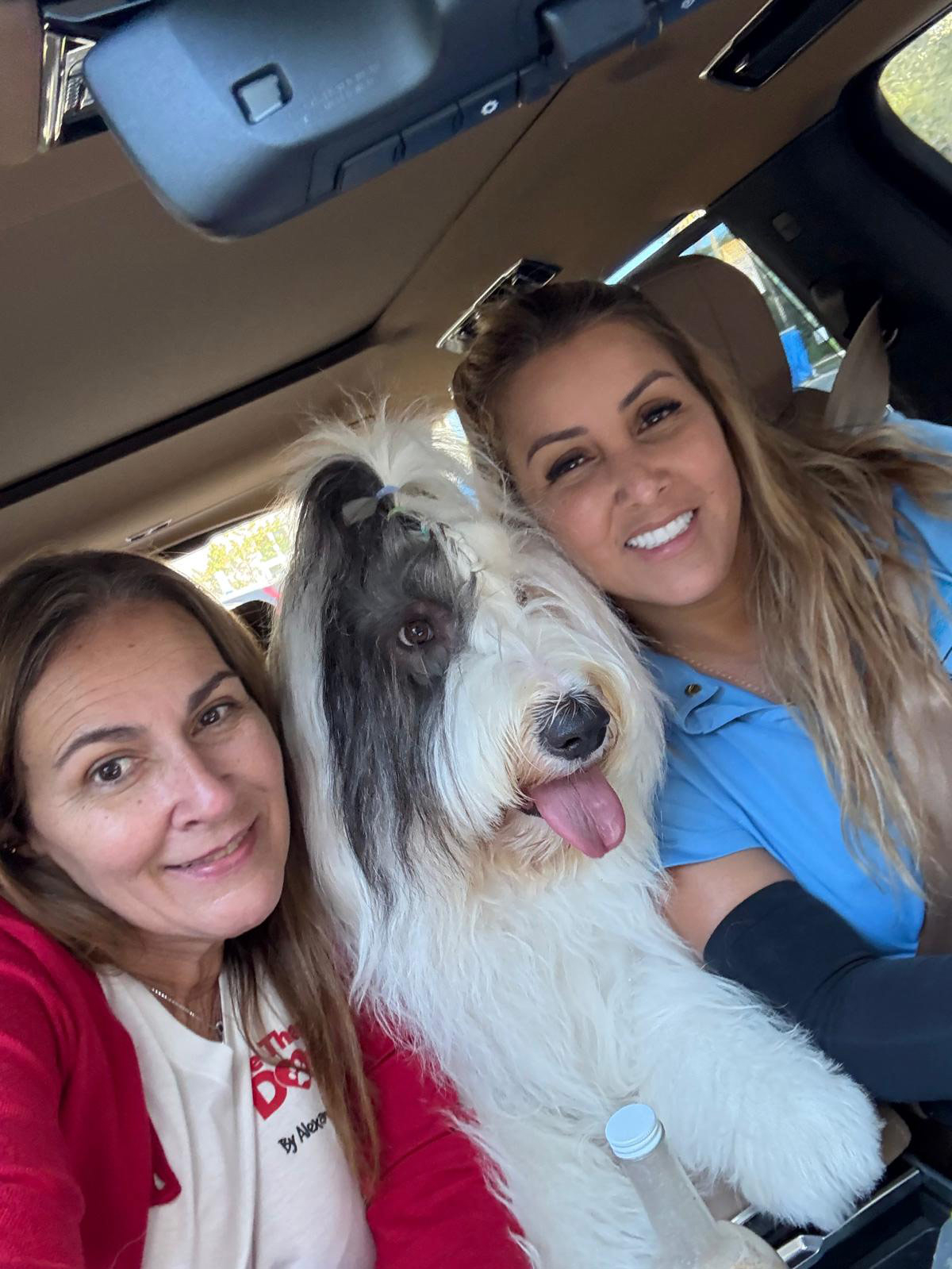 Thanksgiving celebration at Nicklaus - Nov 28, 2024 | Alexandra Ramos Therapy Animals