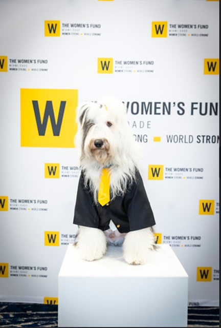 The Women’s Fund Event Thor the special guest - April 26, 2024 | Alexandra Ramos Therapy Animals