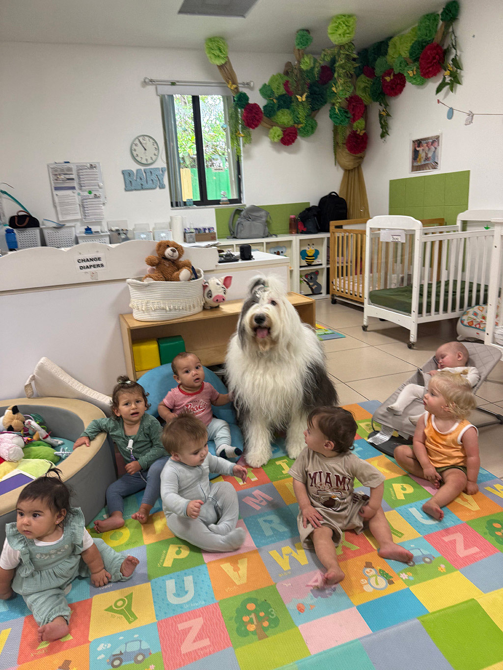  Jun 25, 2025 | Alexandra Ramos Therapy Animals