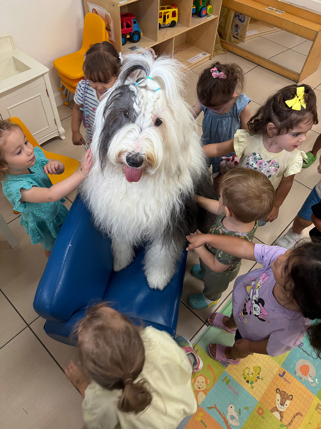  Jun 25, 2025 | Alexandra Ramos Therapy Animals
