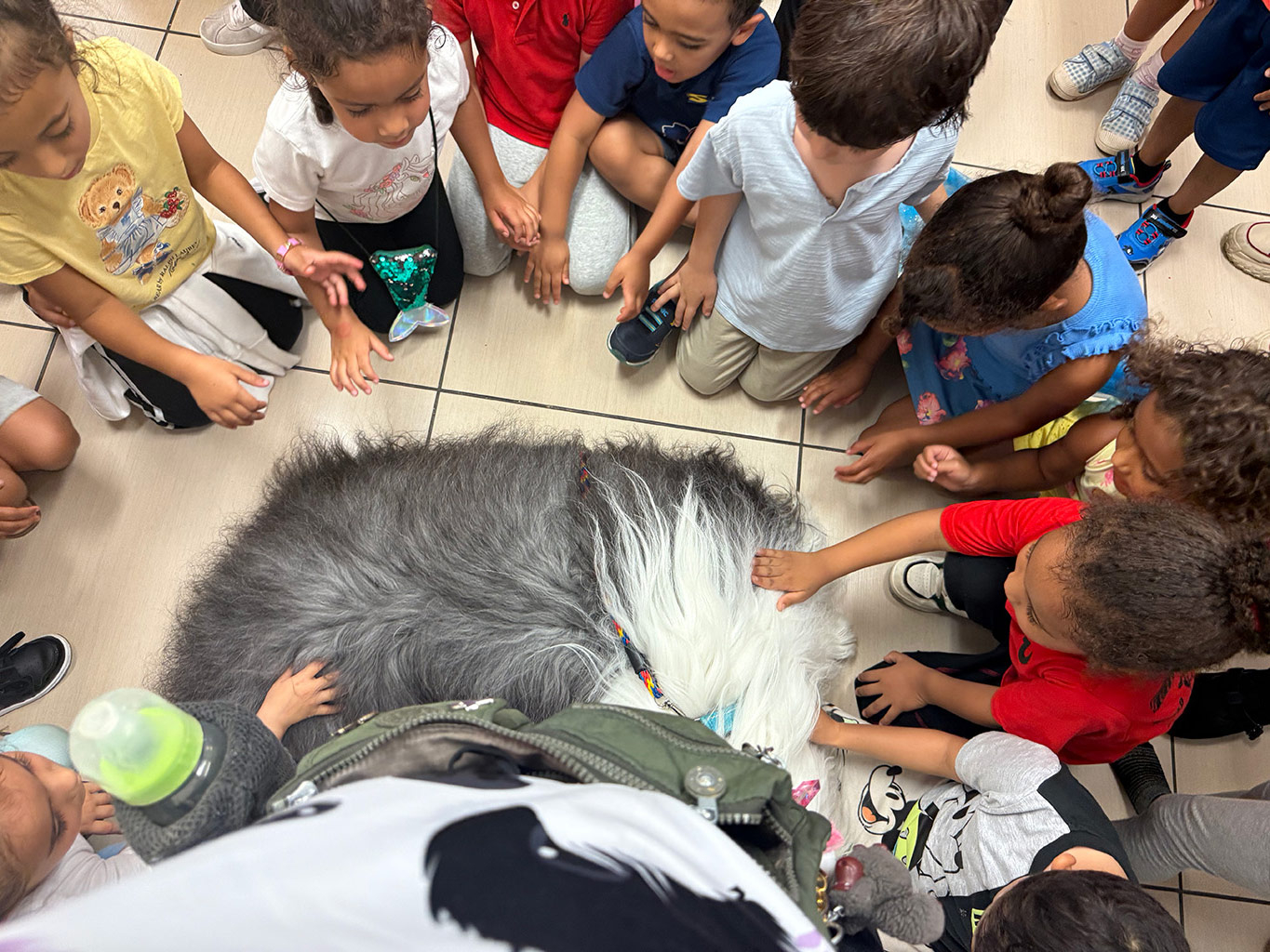  Jun 25, 2025 | Alexandra Ramos Therapy Animals