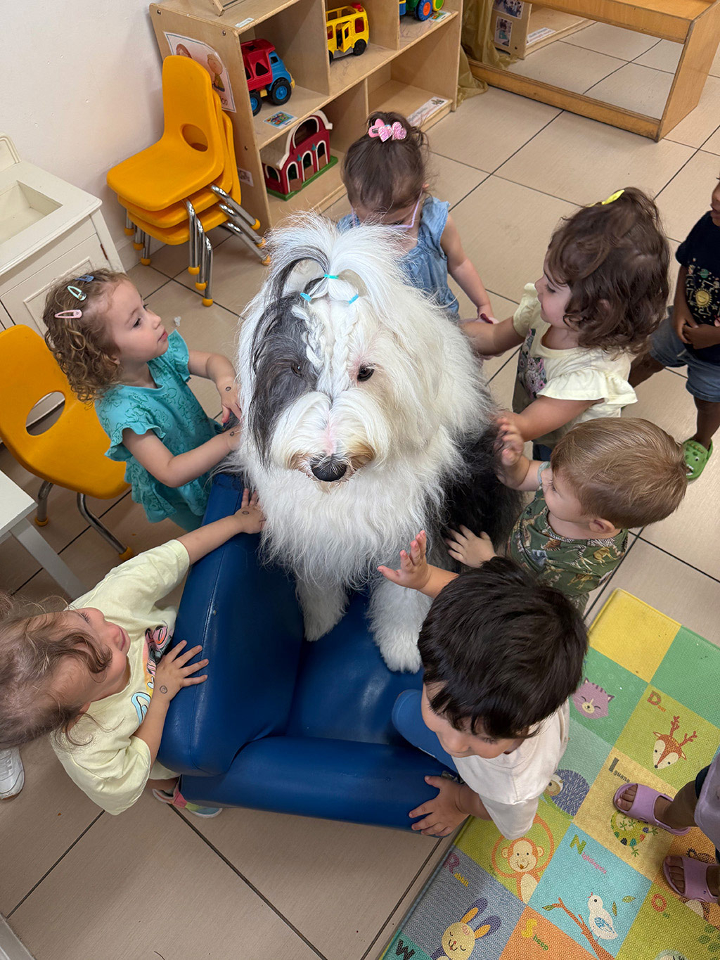  Jun 25, 2025 | Alexandra Ramos Therapy Animals