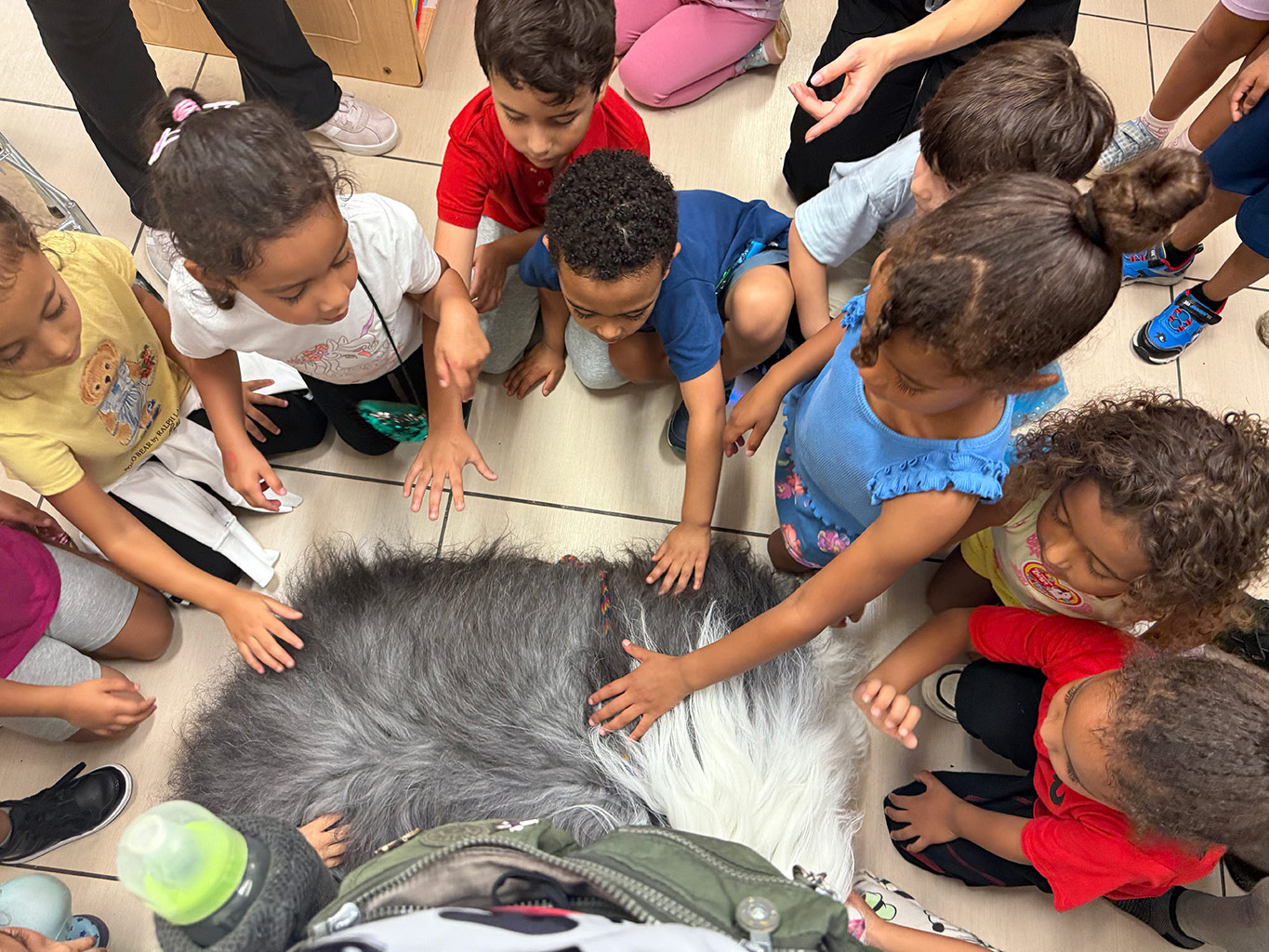  Jun 25, 2025 | Alexandra Ramos Therapy Animals