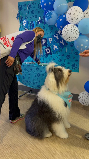 Thor Birthday Celebration at Mount Sinai Hospital - May 1, 2024 | Alexandra Ramos Therapy Animals