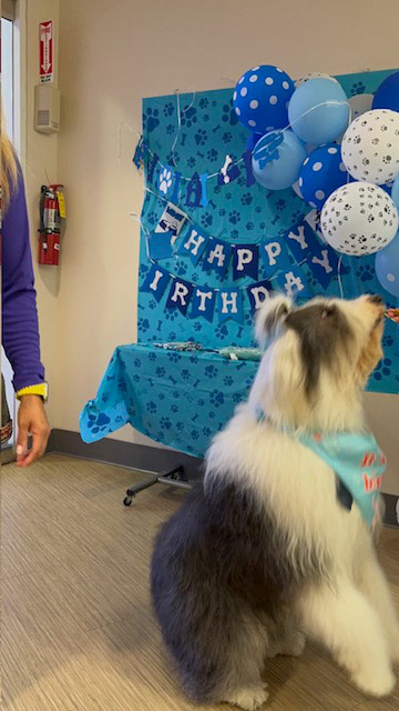 Thor Birthday Celebration at Mount Sinai Hospital - May 1, 2024 | Alexandra Ramos Therapy Animals