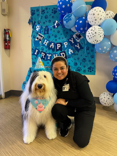 Thor Birthday Celebration at Mount Sinai Hospital - May 1, 2024 | Alexandra Ramos Therapy Animals