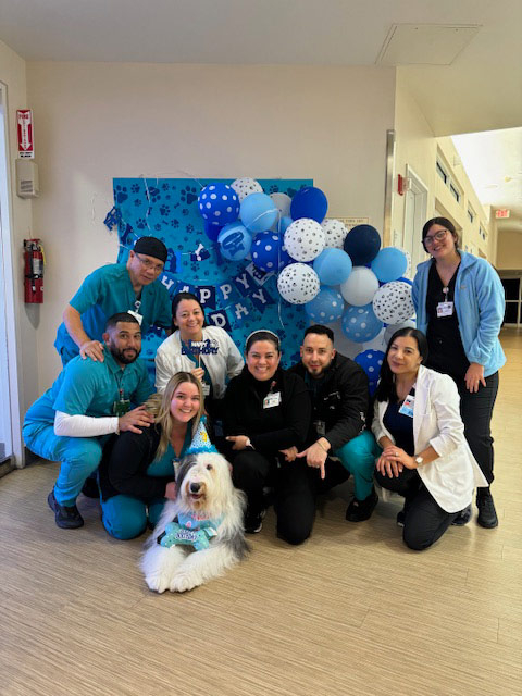 Thor Birthday Celebration at Mount Sinai Hospital - May 1, 2024 | Alexandra Ramos Therapy Animals